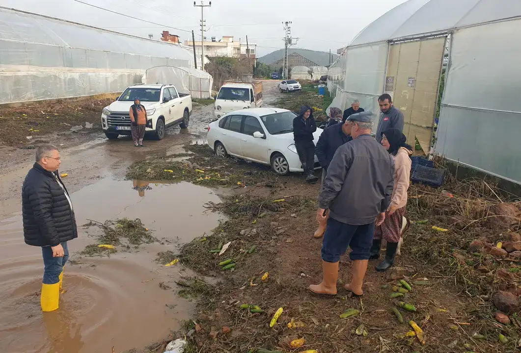 1500 Dönüm Tarım Alanı Zarar Gördü! Çiftçi: 'Ben Bittim Artık' 2